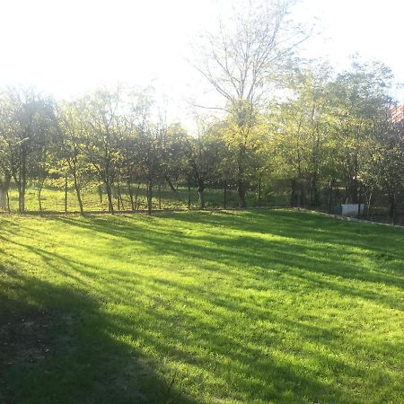 Green Nest Banesti Екстер'єр фото