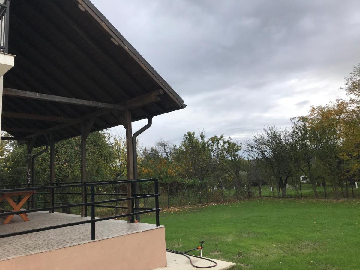 Green Nest Banesti Екстер'єр фото