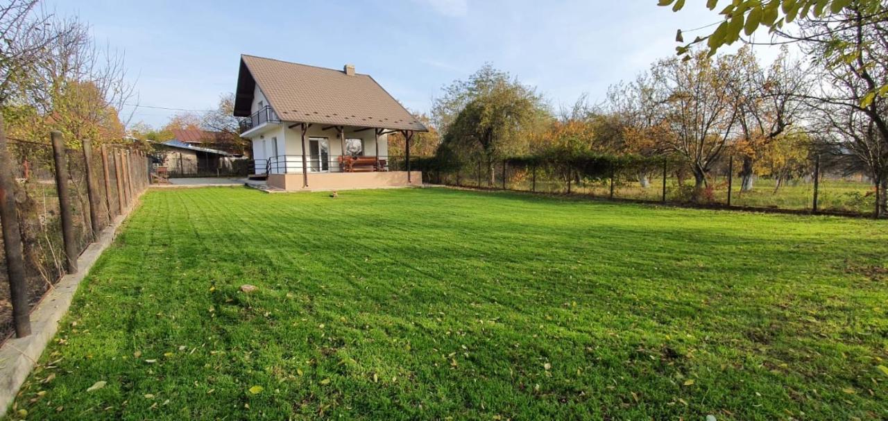 Green Nest Banesti Екстер'єр фото