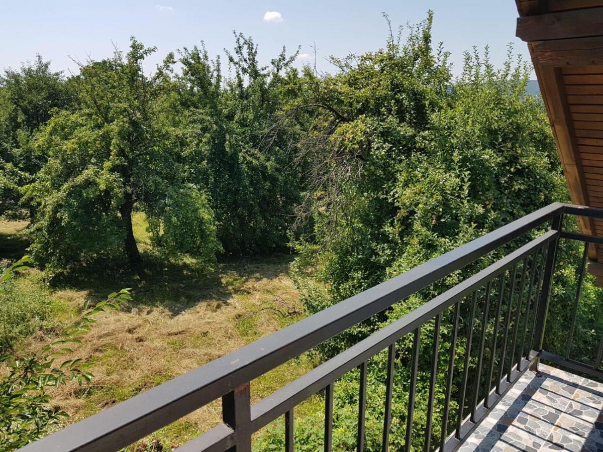 Green Nest Banesti Екстер'єр фото