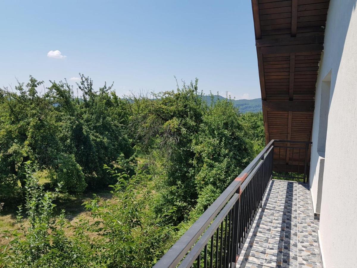 Green Nest Banesti Екстер'єр фото