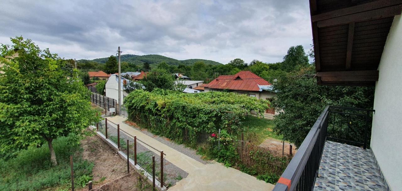 Green Nest Banesti Екстер'єр фото